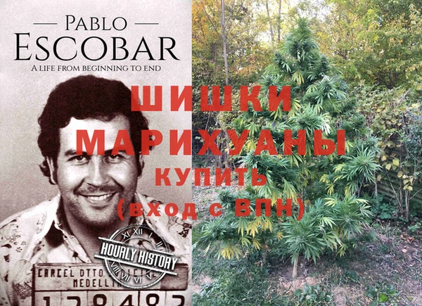 ECSTASY Верея
