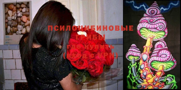 ECSTASY Верея