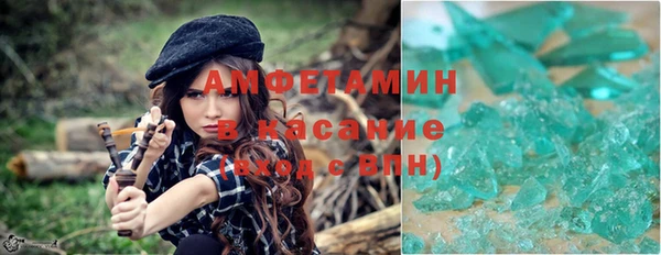 крисы Верхний Тагил